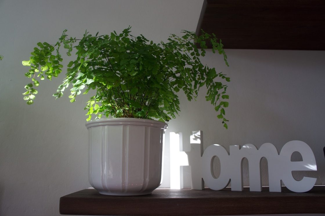 Faire du home staging pour vendre son bien immobilier