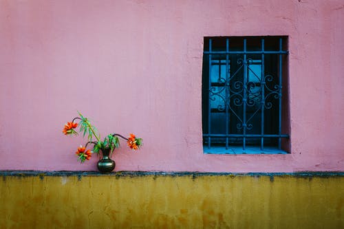 Tour d’horizon : Les meilleures couleurs de peinture rose terreux