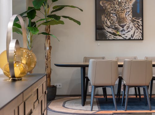 Visite de la maison á ardoise parfaite, confortable et propre pour l’hiver