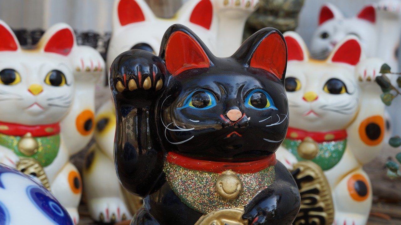 Principes fondamentaux du Feng Shui : Un guide pour les débutants