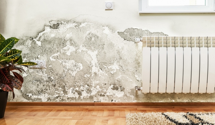 humidité logement